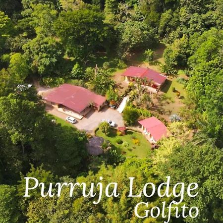 La Purruja Lodge Golfito Buitenkant foto
