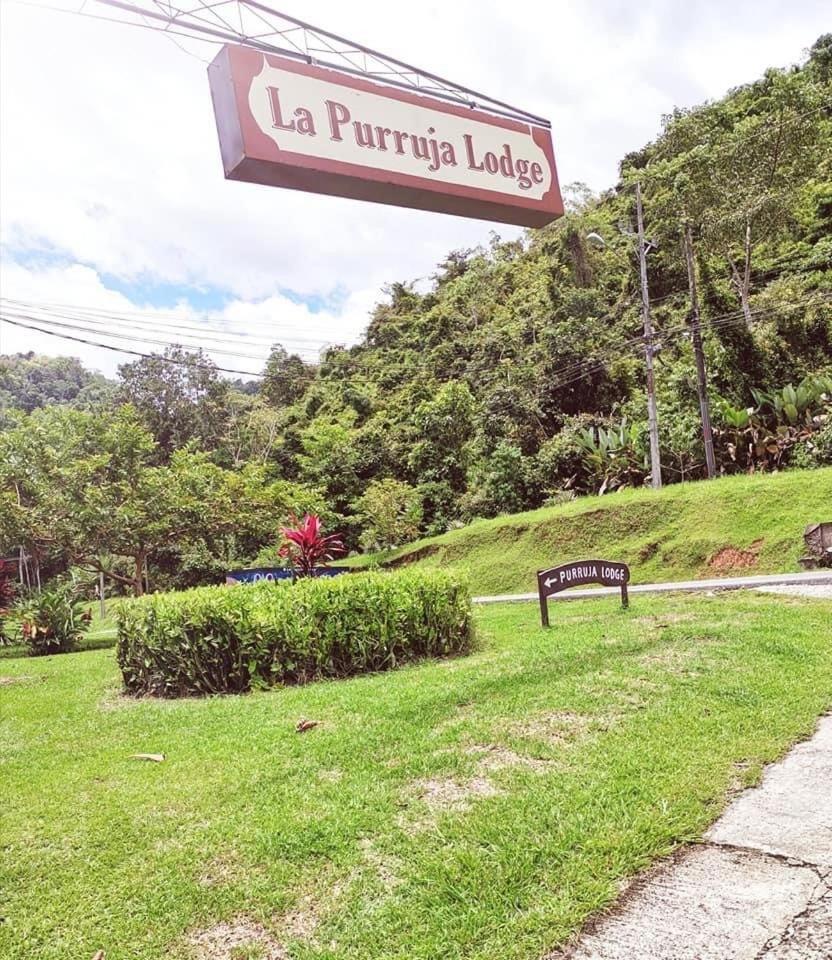 La Purruja Lodge Golfito Buitenkant foto