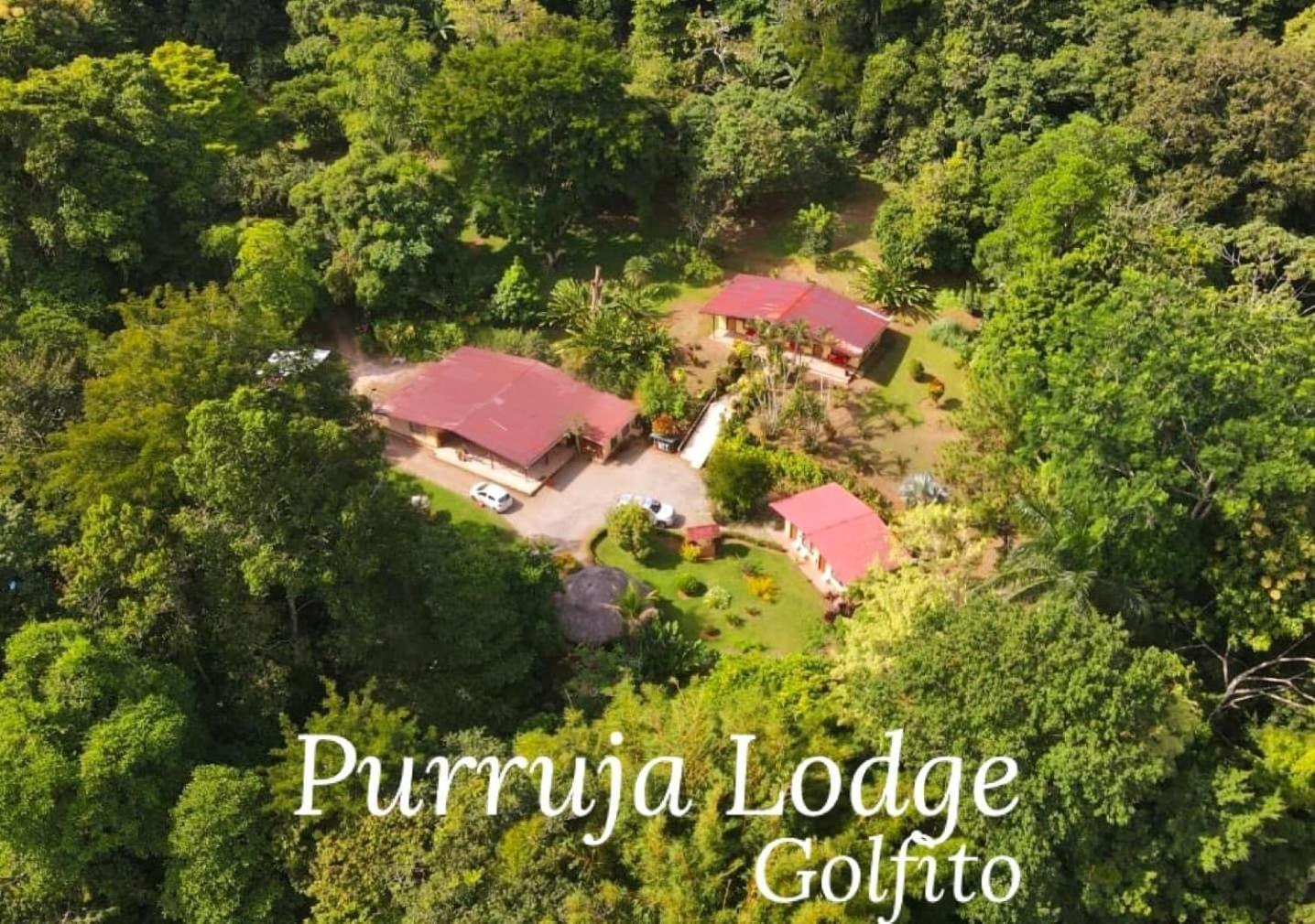 La Purruja Lodge Golfito Buitenkant foto