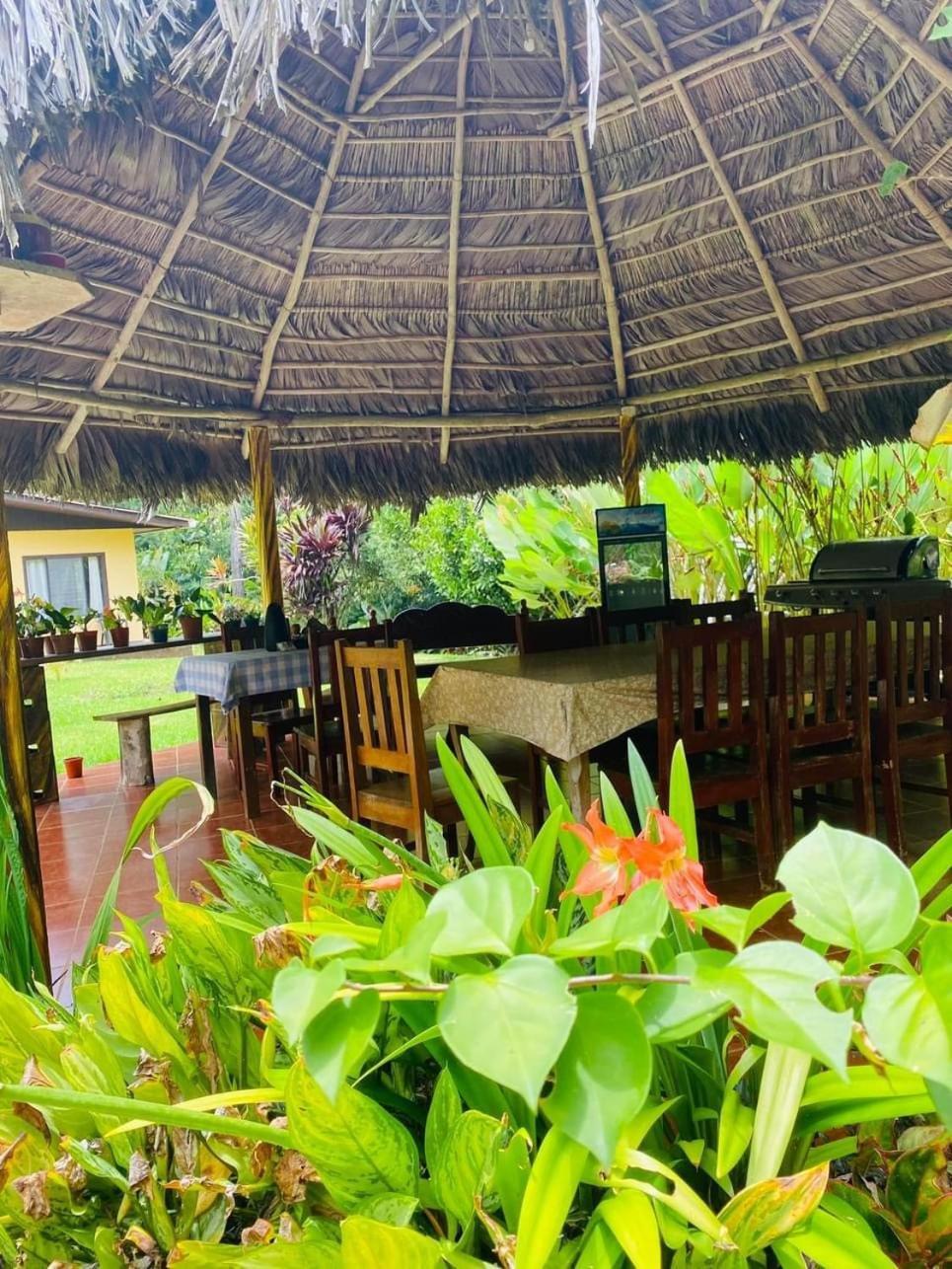 La Purruja Lodge Golfito Buitenkant foto